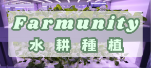 13.Farmunity水耕種植